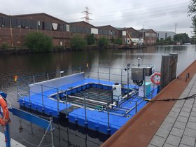 Der Mikroalgenreaktor im Harburger Binnenhafen ist sechs Mal sechs Meter groß. In den sechs Zentimeter dicken und transparenten Rohren in seiner Mitte wachsen die Algen heran.
